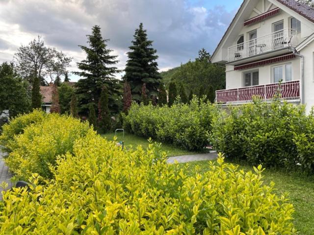 Villa Astoria Balatongyörök エクステリア 写真